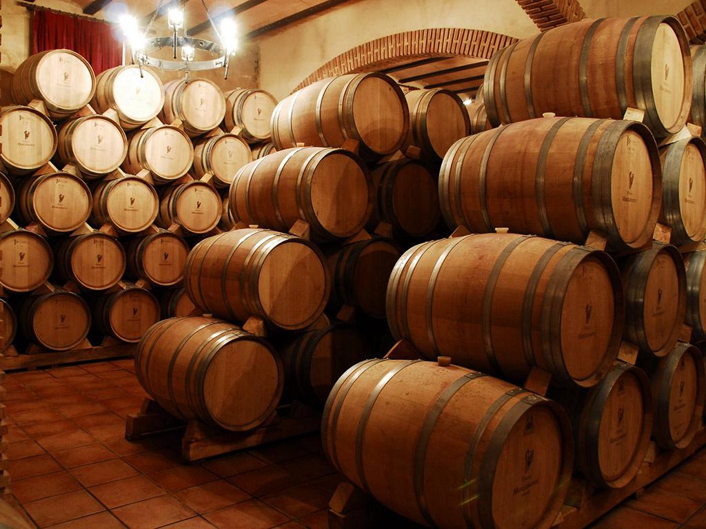 Traditional wine barrel cellar