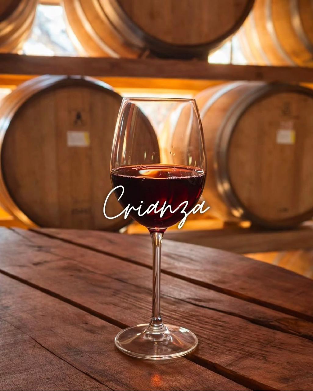 Crianza wine aging in barrel cellar