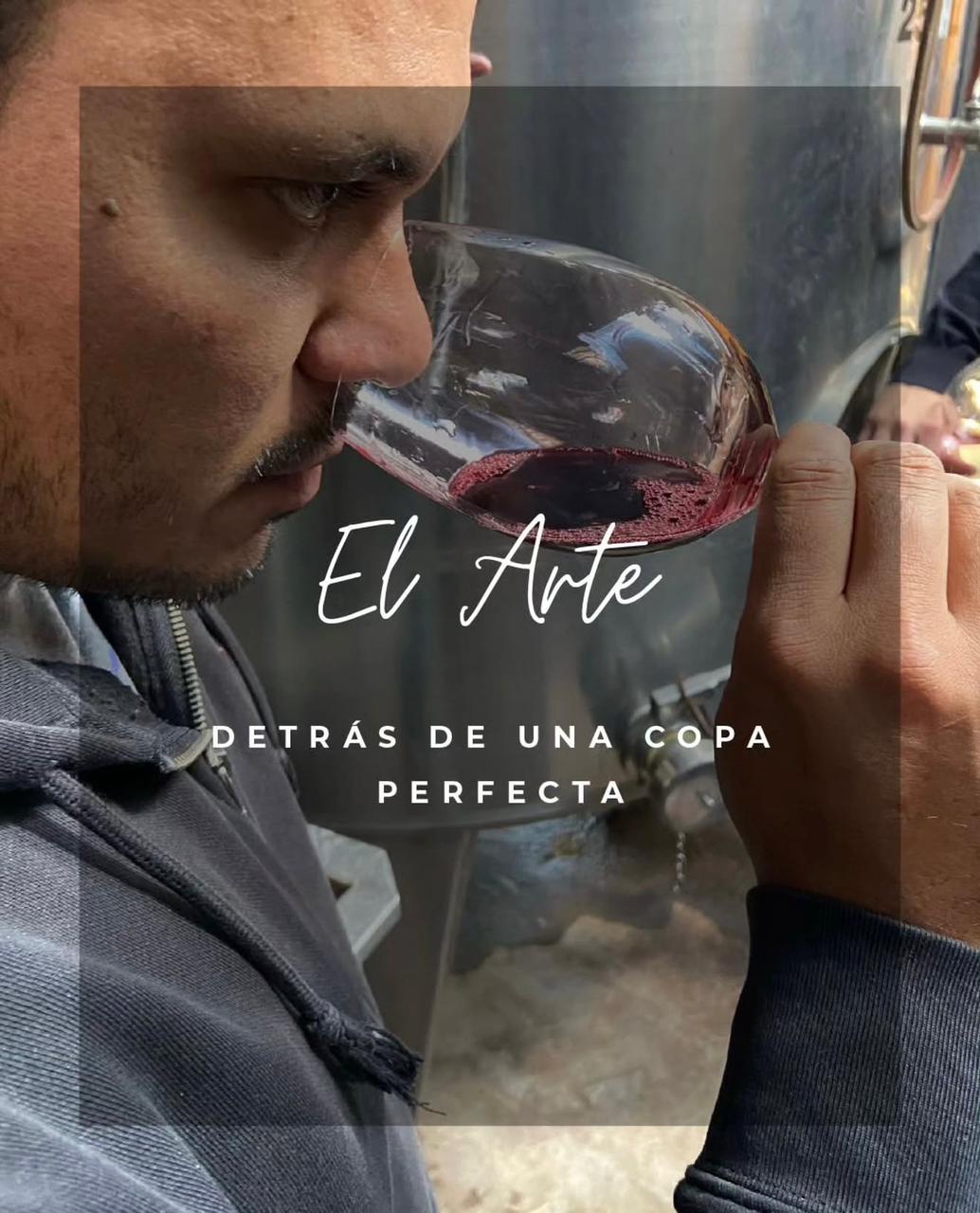 Wine tasting and quality control